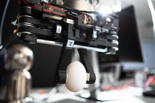 Garra robótica preta segura delicadamente um ovo branco, com mecanismos expostos em fundo desfocado.