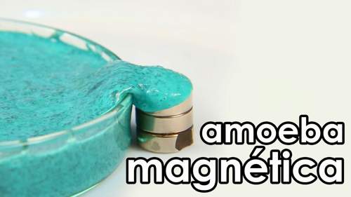 amoeba magnetica